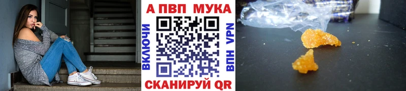 Купить где  Фёдоровский  Alfa_PVP мука 