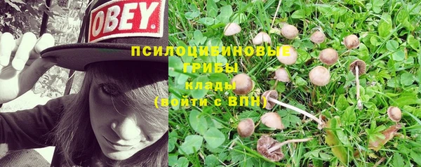 гашиш Козельск